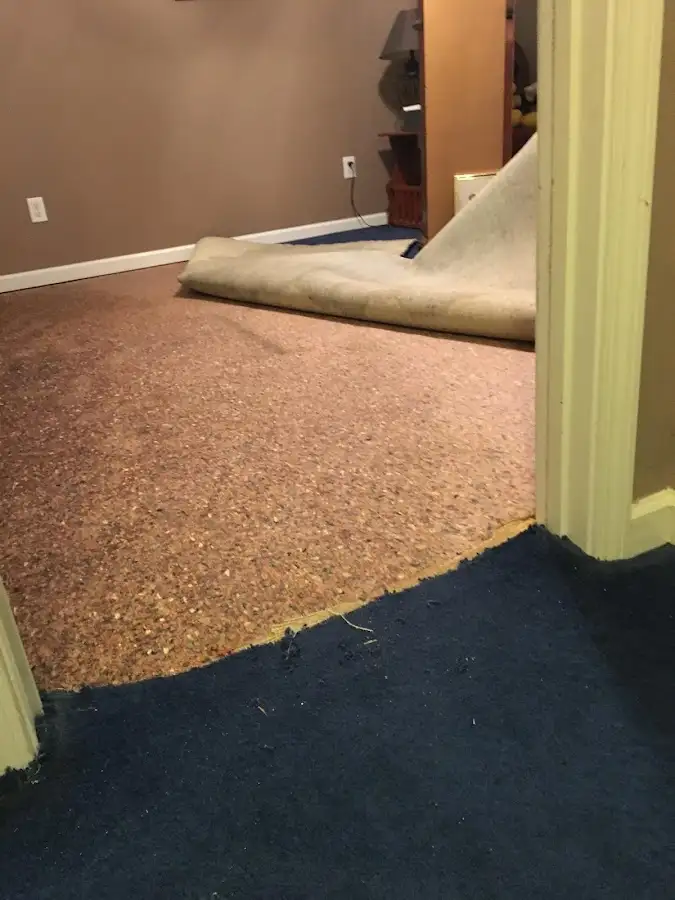 Carpet pad removal revealing water damage during Drying & Dehumidification in Pomfret