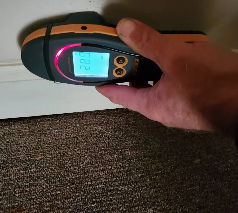 Moisture detection at baseboard during Sewage Cleanup & Sanitation in Pomfret